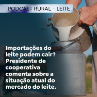 Importações do leite podem cair? Presidente de cooperativa comenta sobre situação atual do mercado.