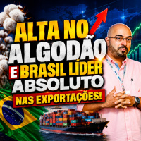 Alta no algodão e Brasil líder absoluto nas exportações!