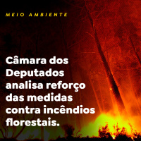 MEIO AMBIENTE