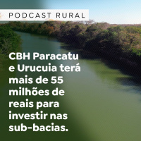 CBH Paracatu e Urucuia terá mais de 55 milhões de reais para investir nas sub-bacias