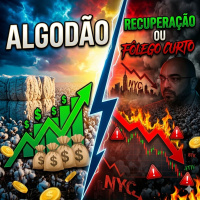 Algodão em Nova York: Recuperação à vista ou fôlego curto após quedas consecutivas?