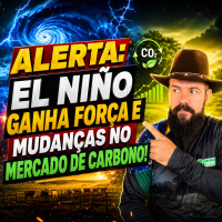 ALERTA: El Niño Ganha Força e Mudanças no Mercado de Carbono!