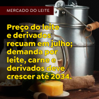 Preço do leite e derivados recuam em julho demanda por leite, carne e derivados deve crescer