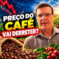 PREÇO DO CAFÉ VAI DERRETER? Floradas 2027 e armazéns lotados pressionam