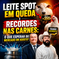 Leite Spot em Queda e Recordes nas Carnes: O Que Esperar do Mercado em Agosto?