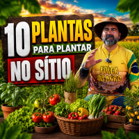 10 plantas para plantar no sítio