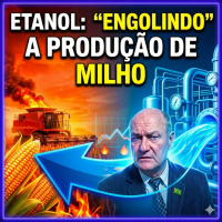 Etanol: Nova fronteira que está engolindo a produção de milho no Brasil