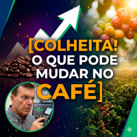 Começou a Colheita! Confira o Que Pode Mudar no Café