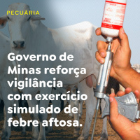 Governo de Minas reforça vigilância com exercício simulado de febre aftosa