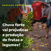 Chuva forte vai prejudicar a produção de frutas e legumes?