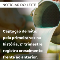 Captação de leite: pela primeira vez na história, 2º trim. registra crescimento frente ao anterior