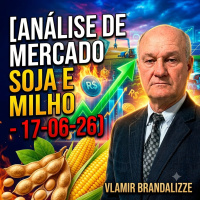 Milho e Soja: Variação de Preços que Preocupa o Produtor