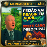  Feijão vai reagir em Abril Compradores Voltam ao Mercado, mas Frete Caro Preocupa