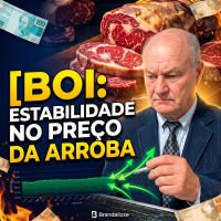 Mercado do Boi: Estabilidade no preço da arroba contrasta com o boom nas exportações