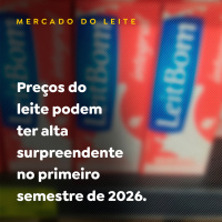 MERCADO DO LEITE - PARTE 01