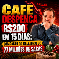 Café despenca R$200 em 15 dias: O impacto do relatório de 77 milhões de sacas