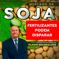 Soja: fertilizantes podem disparar após restrições da China