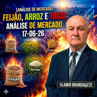 Déficit no Trigo e Pressão no Feijão: O que muda agora?