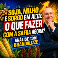 SOJA, MILHO e SORGO em ALTA: O Que Fazer com a Safra Agora? Análise com Brandalizze