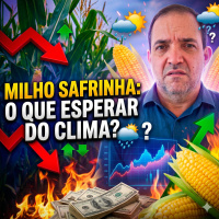  Milho Safrinha Chuvas à vista ou preços em alta O que esperar do clima