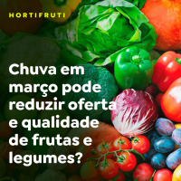 Chuva em março pode reduzir oferta e qualidade de frutas e legumes?