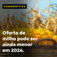 Oferta de milho pode ser ainda menor em 2026.