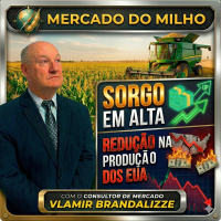  Sorgo em Alta Por que a redução na produção dos EUA é um bom sinal para o Brasil