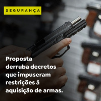 Proposta derruba decretos que impuseram restrições à aquisição de armas.