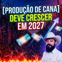  Produção de cana deve crescer em 2027
