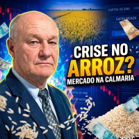 Crise no Arroz? Capital de Giro Caro e Safra Menor Mantêm Mercado na Calmaria