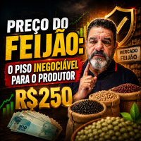 Preço do feijão: o piso inegociável para o produtor.
