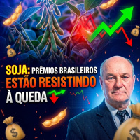 Soja 2026: Por que os prêmios brasileiros estão resistindo à queda de Chicago?