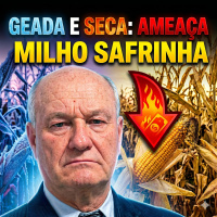 Geada e Seca: O combo climático que ameaça a produtividade do milho safrinha 