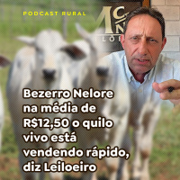 PARTE 02