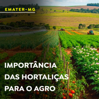 A importância das hortaliças para o agro mineiro 