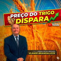  Preço do trigo dispara com dificuldade de importação e clima global 