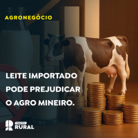 Leite importado pode prejudicar o agro mineiro