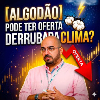 Algodão pode ter oferta derrubada pelo Clima?