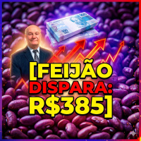 Feijão Dispara Geadas no Sul e Oferta Curta em MG Fazem o Preço Bater R$385