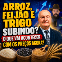 Arroz, Feijão e Trigo subindo? O que vai acontecer com os preços agora?