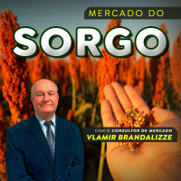  É A Era do sorgo Cereal deve ser alternativa em meio ao “boom” do etanol