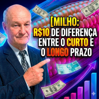 Milho: R$10 de diferença entre o curto e o longo prazo. Hora de se posicionar?