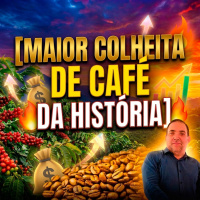 Brasil rumo à maior safra de café da história: o que esperar de 26-27?