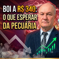 Boi a R$ 340: O que esperar da pecuária 