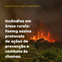 Incêndios em áreas rurais: Faemg assina protocolo de ações de prevenção e combate às chamas