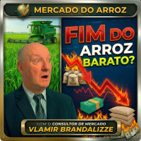  Fim do Arroz Barato Pacote de 5kg Já Supera os R$ 20 e Tendência é de Alta