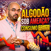  Algodão sob Ameaça? Por que o consumo fraco pode derrubar as cotações?