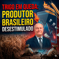  Vaca Magra a R$ 8,50 A Estratégia da Palhada para Ganhar Dinheiro na Seca