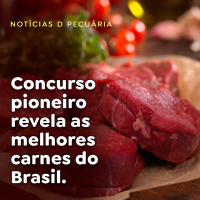 Concurso pioneiro revela as melhores carnes do Brasil
