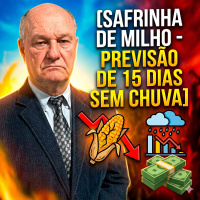 Safrinha de milho em risco: Previsão de 15 dias sem chuva acende o alerta no Centro-Oeste.